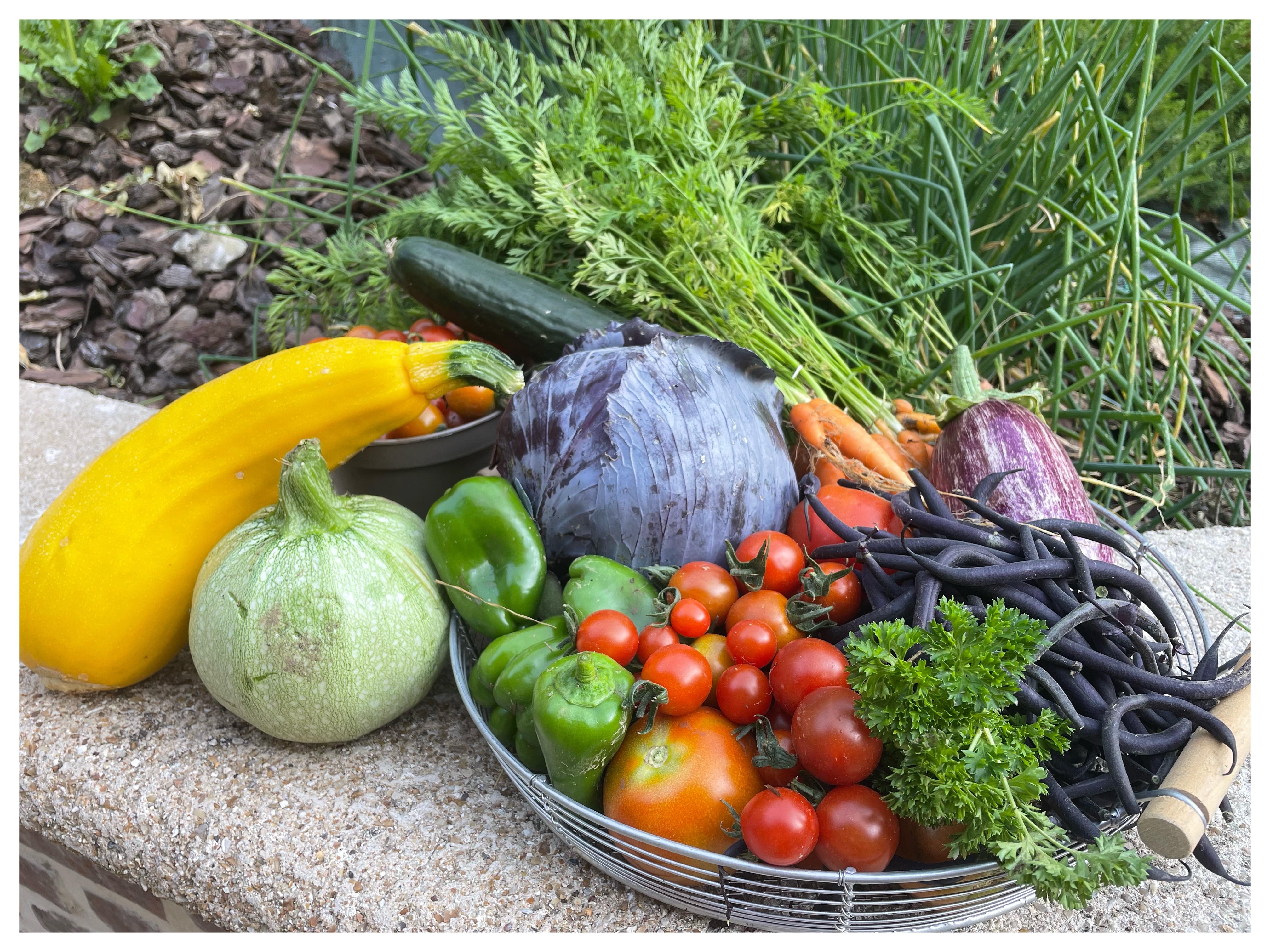 Le potager de François