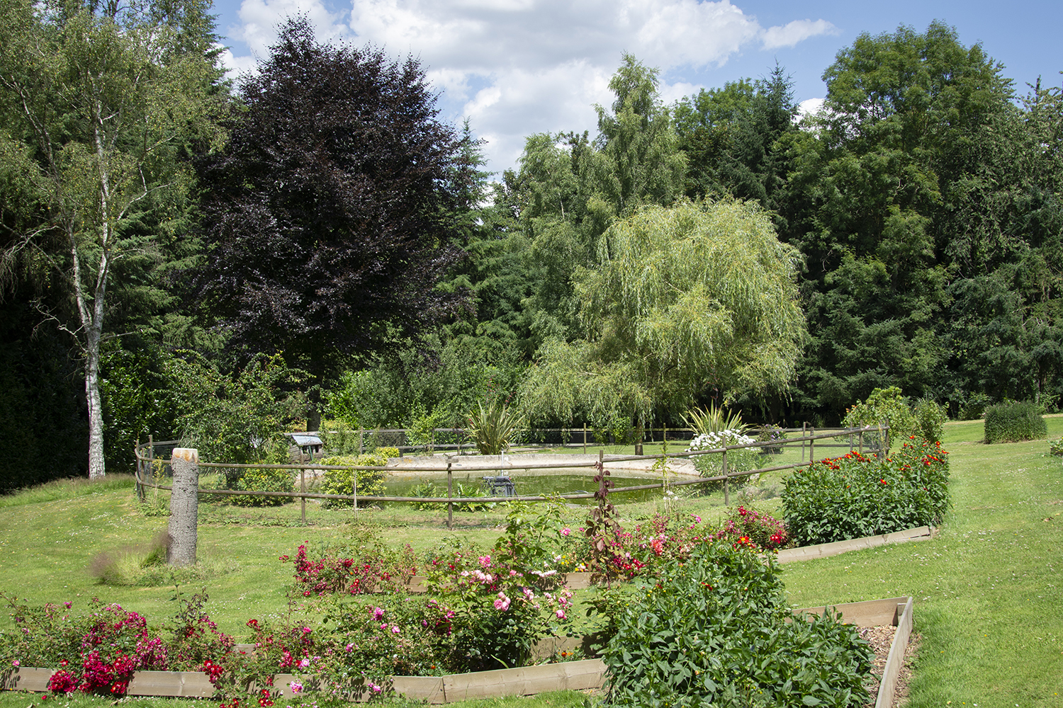 Le parc et les activités